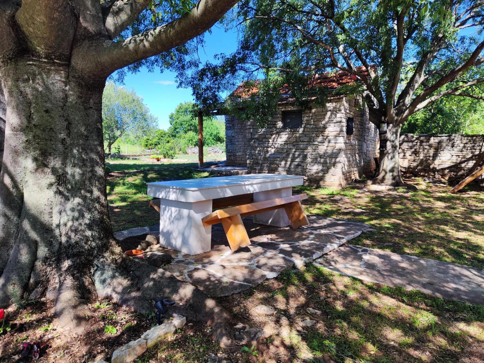 Kuca Dida Jure Villa Pridraga Exterior foto